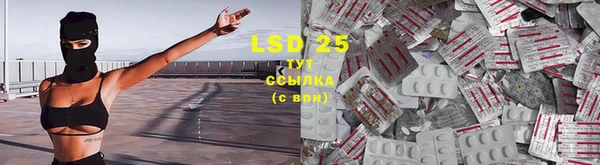 гидра Гусиноозёрск