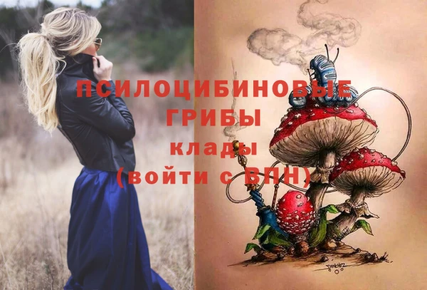 гидра Гусиноозёрск