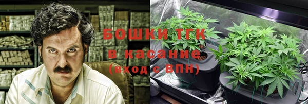 гидра Гусиноозёрск