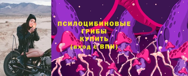 меф Гусев