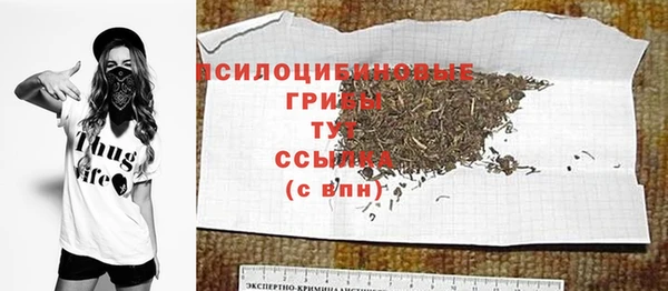 гидра Гусиноозёрск
