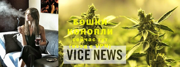 гидра Гусиноозёрск