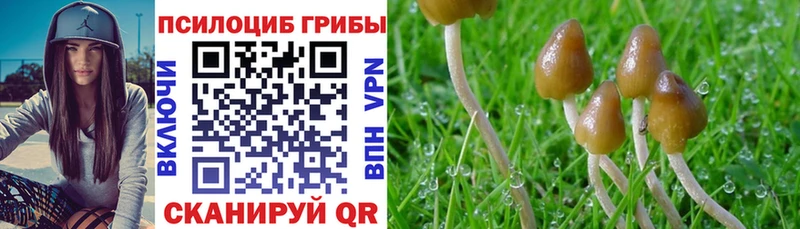 Галлюциногенные грибы GOLDEN TEACHER Купить где Партизанск